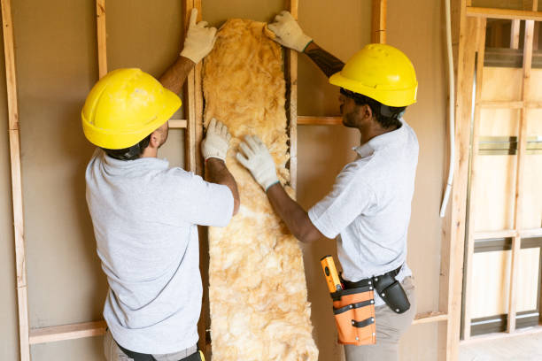 Best Attic Insulation Installation  in Leavenworth, KS